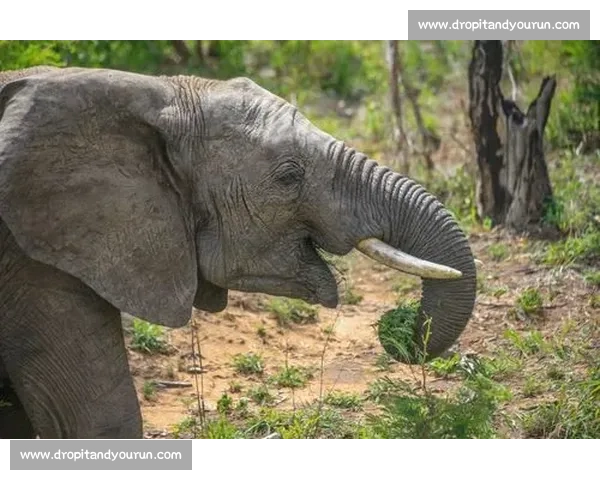 《在背诵比赛中，我体会到语言的力量与自信的提升》